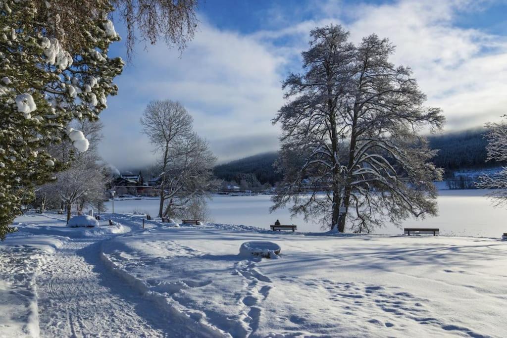 Waldklang Titisee Luaran gambar