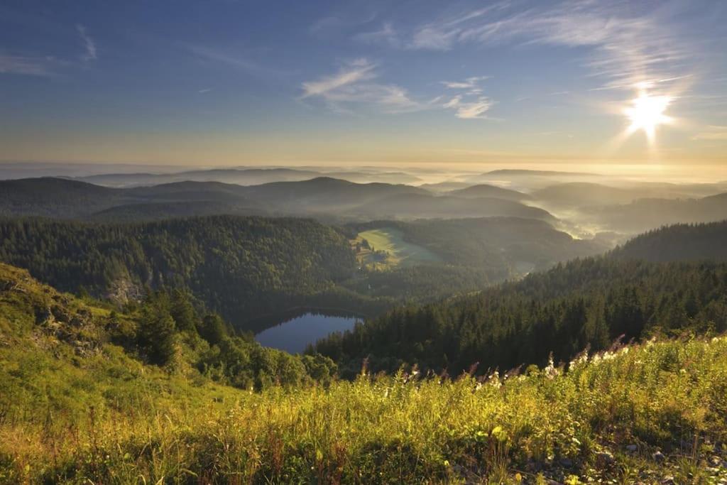 Waldklang Titisee Luaran gambar