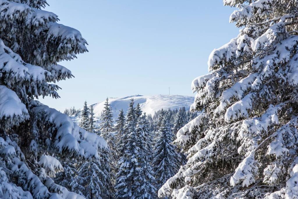 Waldklang Titisee Luaran gambar